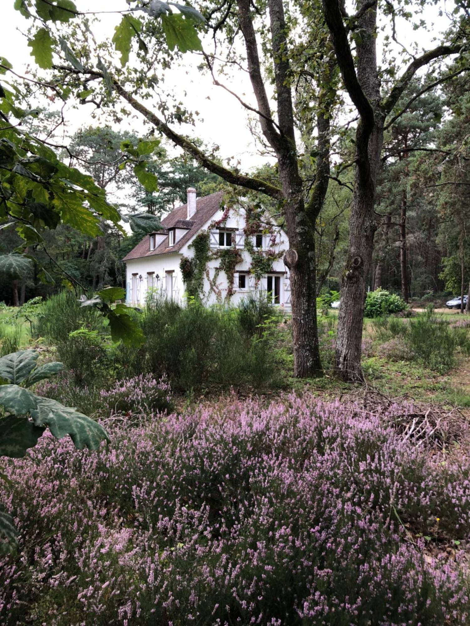 Chambres Au Coeur Du Massif Des Trois Pignons Noisy-sur-Ecole Zewnętrze zdjęcie